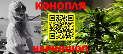 гидра Будённовск