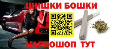 гидра Будённовск