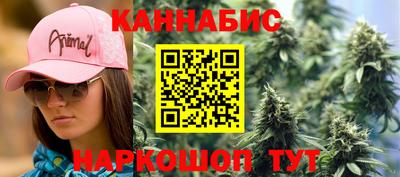 гидра Будённовск