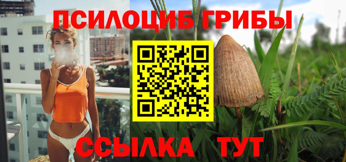 Псилоцибиновые грибы Psilocybe  купить наркотик  Вход с VPN  Рубцовск  Галлюциногенные грибы ЛСД 