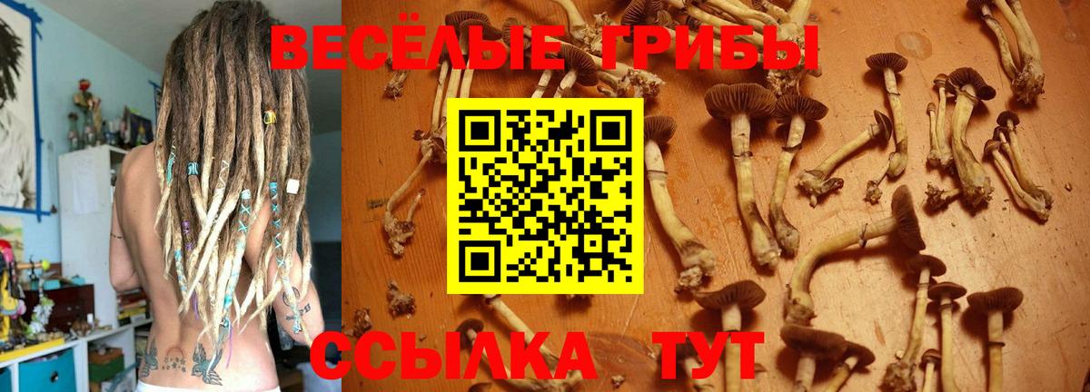 Псилоцибиновые грибы мухоморы Рубцовск